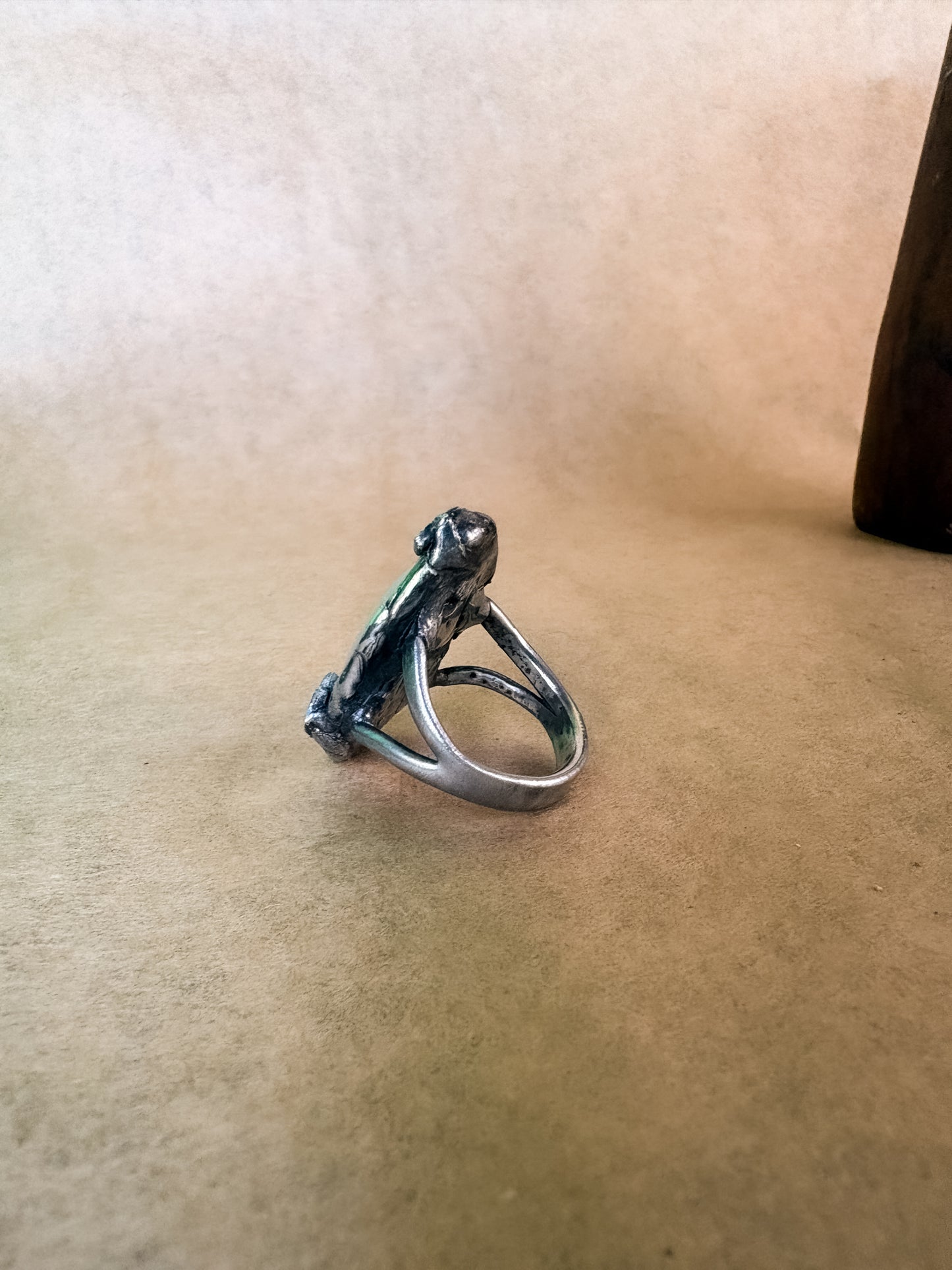 tide pools ring