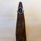 dotty portal ring I