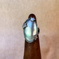 tide pools ring