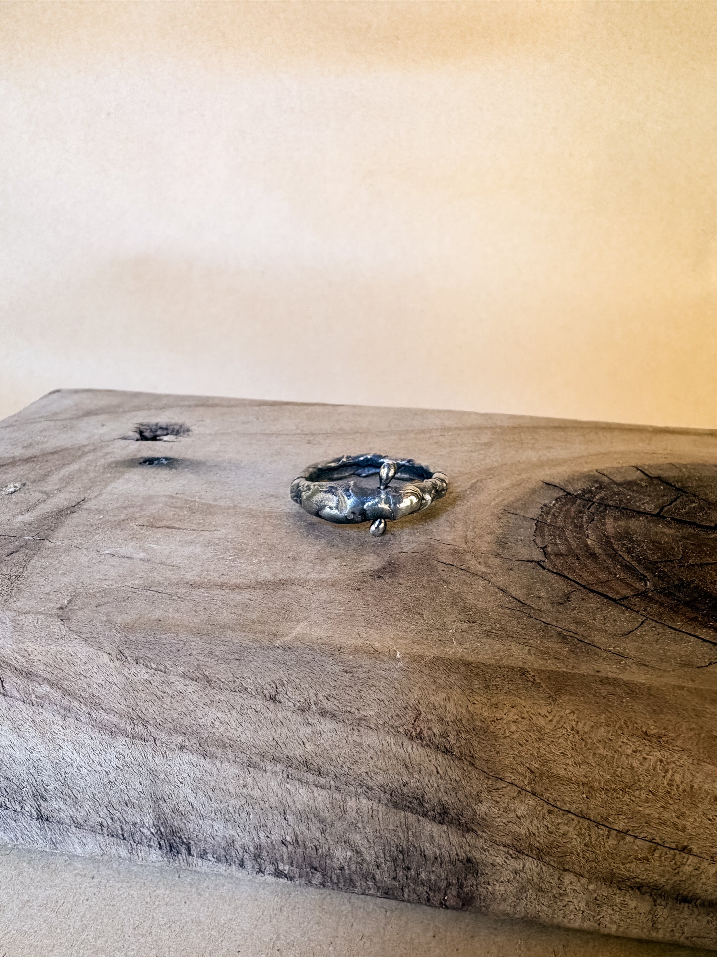 pierced fidget ring