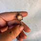 swirling shell cosmic bolo