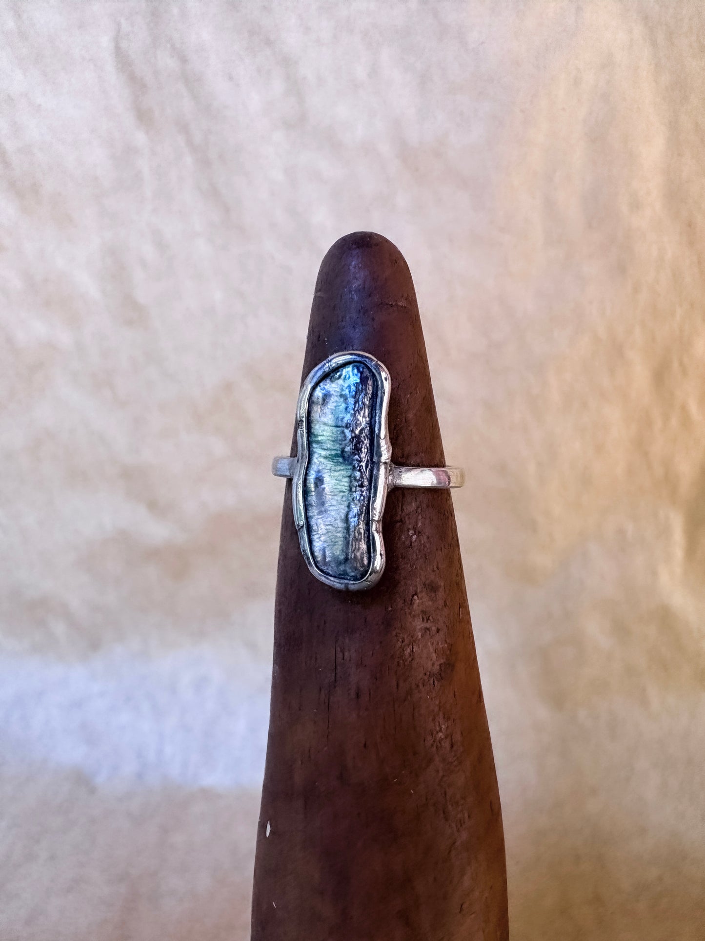 cosmic dust ring